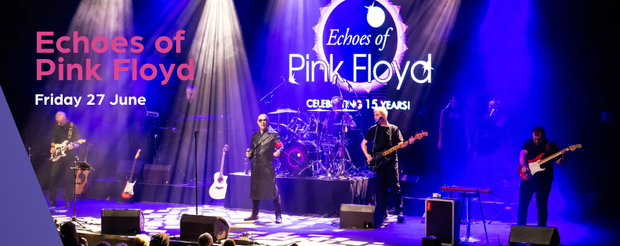 pink-floyd-banner.png