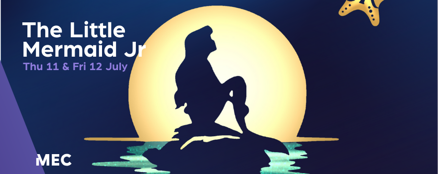 The Little Mermaid Web Banner.png